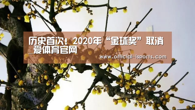爱体育官网