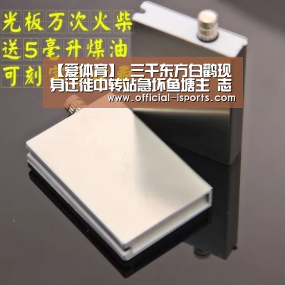 【爱体育】
三千东方白鹳现身迁徙中转站急坏鱼塘主 志愿者:正筹钱投喂(图2) 爱体育